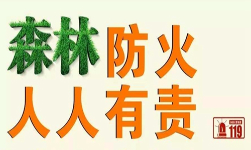 15879789583001000_700x350.jpg